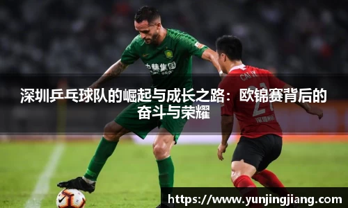 深圳乒乓球队的崛起与成长之路：欧锦赛背后的奋斗与荣耀