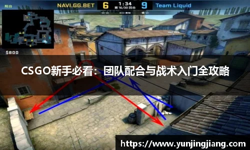 CSGO新手必看：团队配合与战术入门全攻略